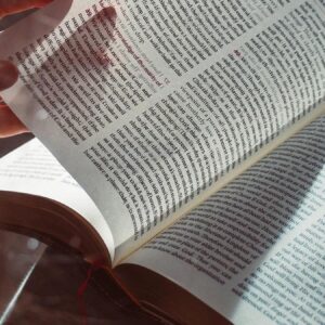 darisi turkiyenin basina kitaplarda kdv kalkiyor uKNh1Mv1