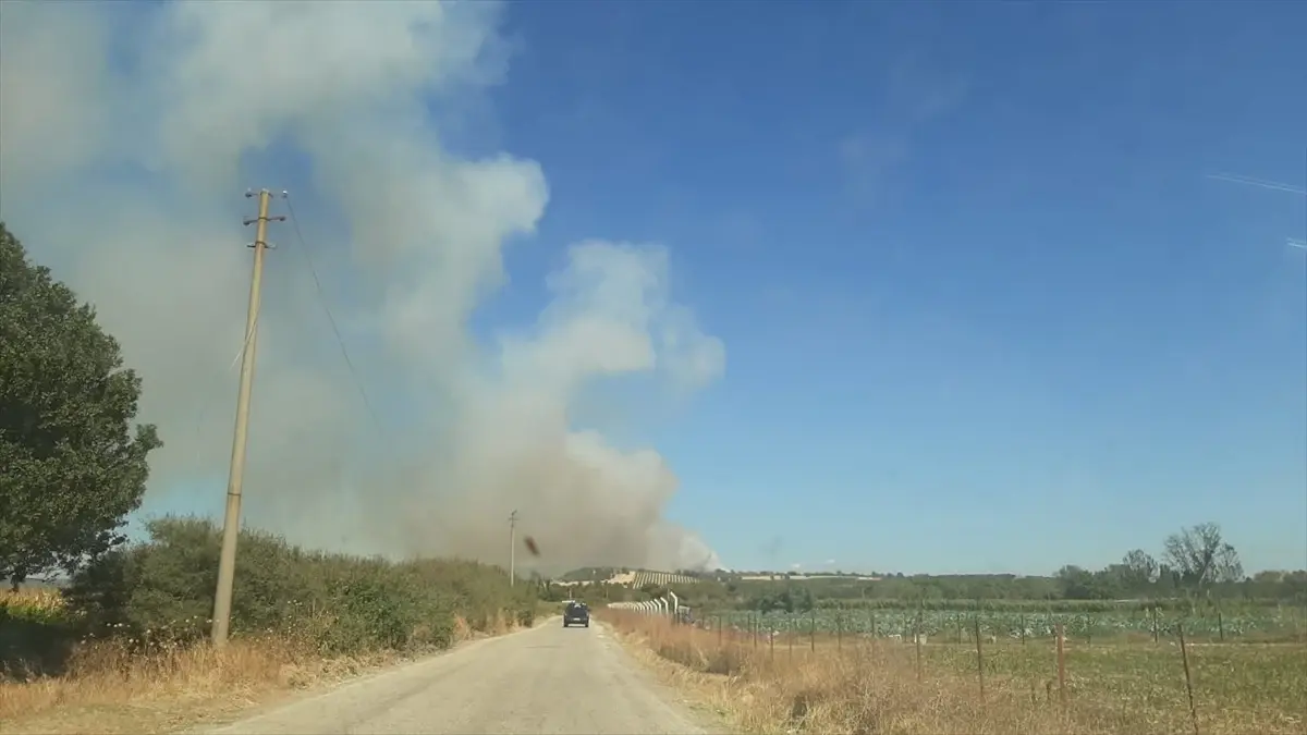 ezinede zeytinlikte yangin AsEtJiOA