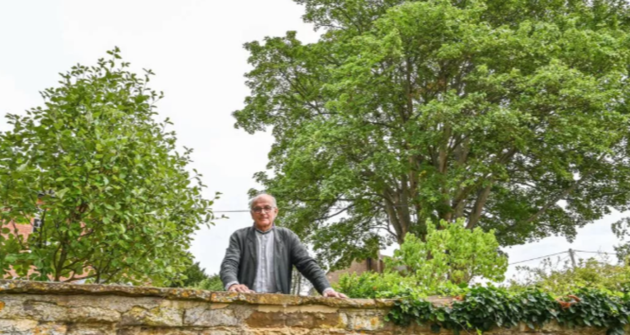 tum bu agac icin koy seferber oldu cok degerli sZiOOlud