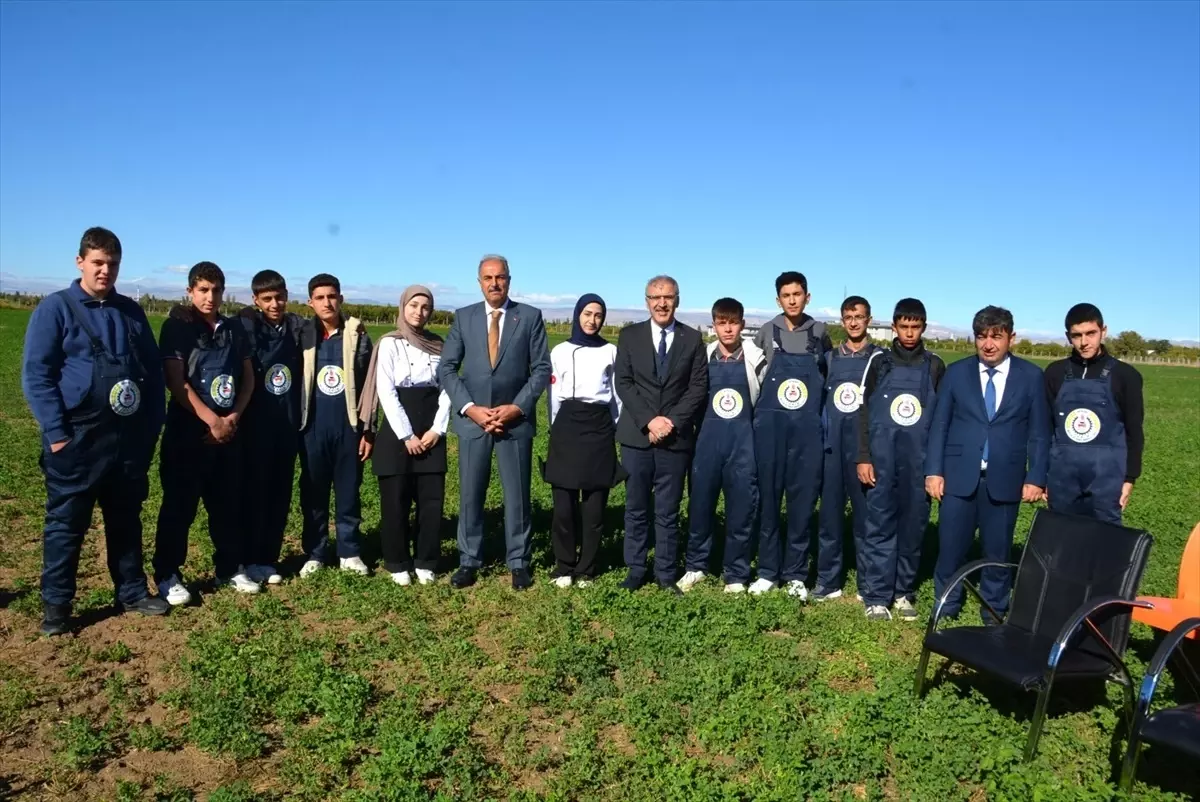 battalgazi tarim lisesinde misir hasadi gerceklestirildi 3aNQKBKs.jpg