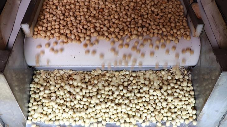 findik ihracatindan 16 milyar dolari askin gelir saglandi EMCl8Yxe.jpg