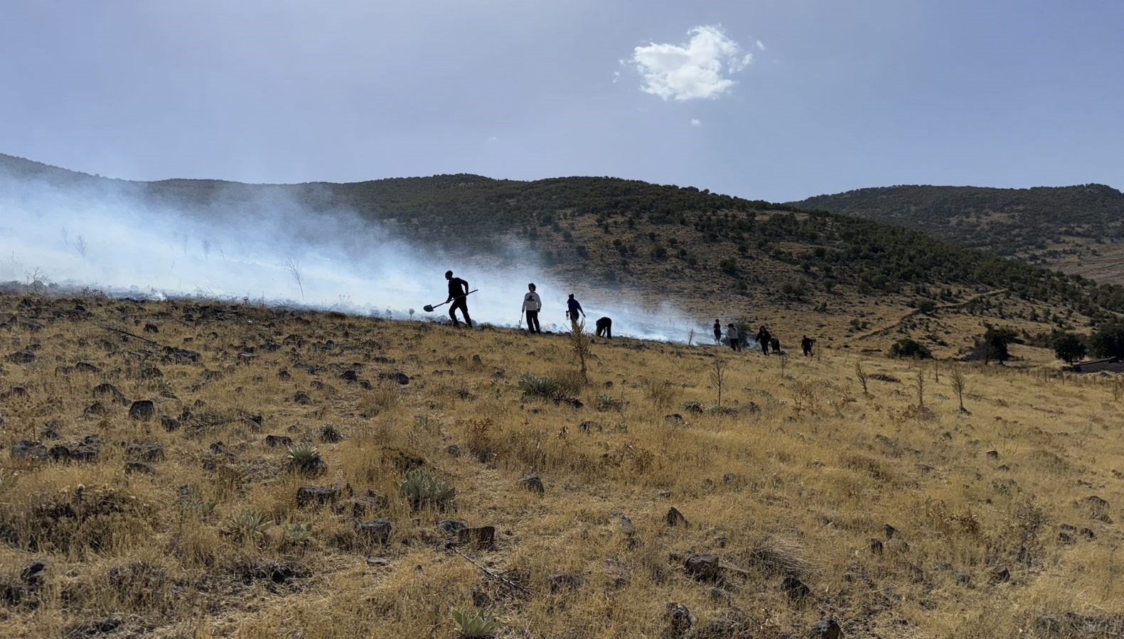 karapinarda ot yangini ormana sicramadan sonduruldu FJGLpklq