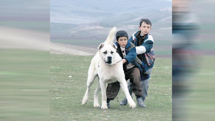 sivas ucretsiz erisime acildi QN3Y3O4m.jpg