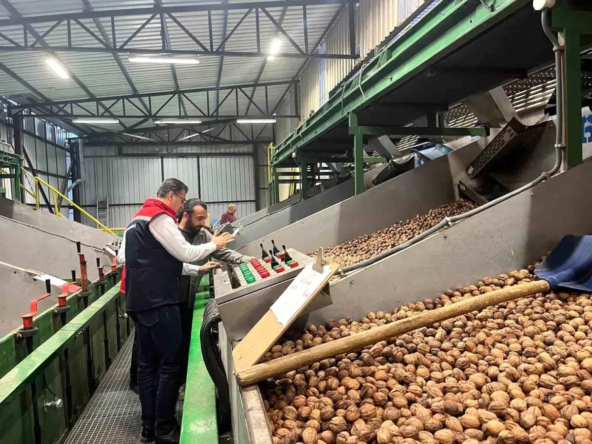 tekirdagda ceviz uretimi destekleniyor MJWUWvdT.jpg