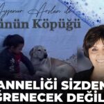 anneligi-sizden-ogrenecek-degiliz-YbRKQnwt