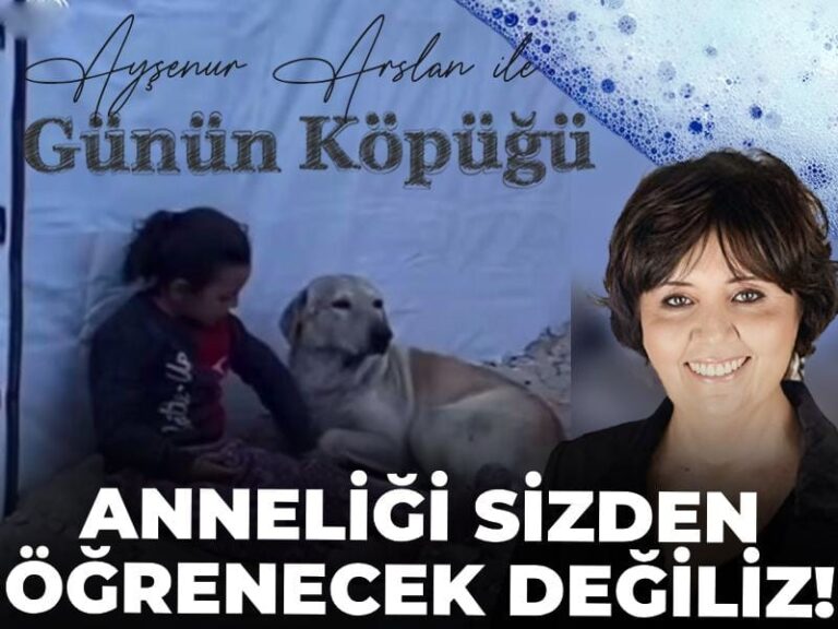 anneligi-sizden-ogrenecek-degiliz-YbRKQnwt