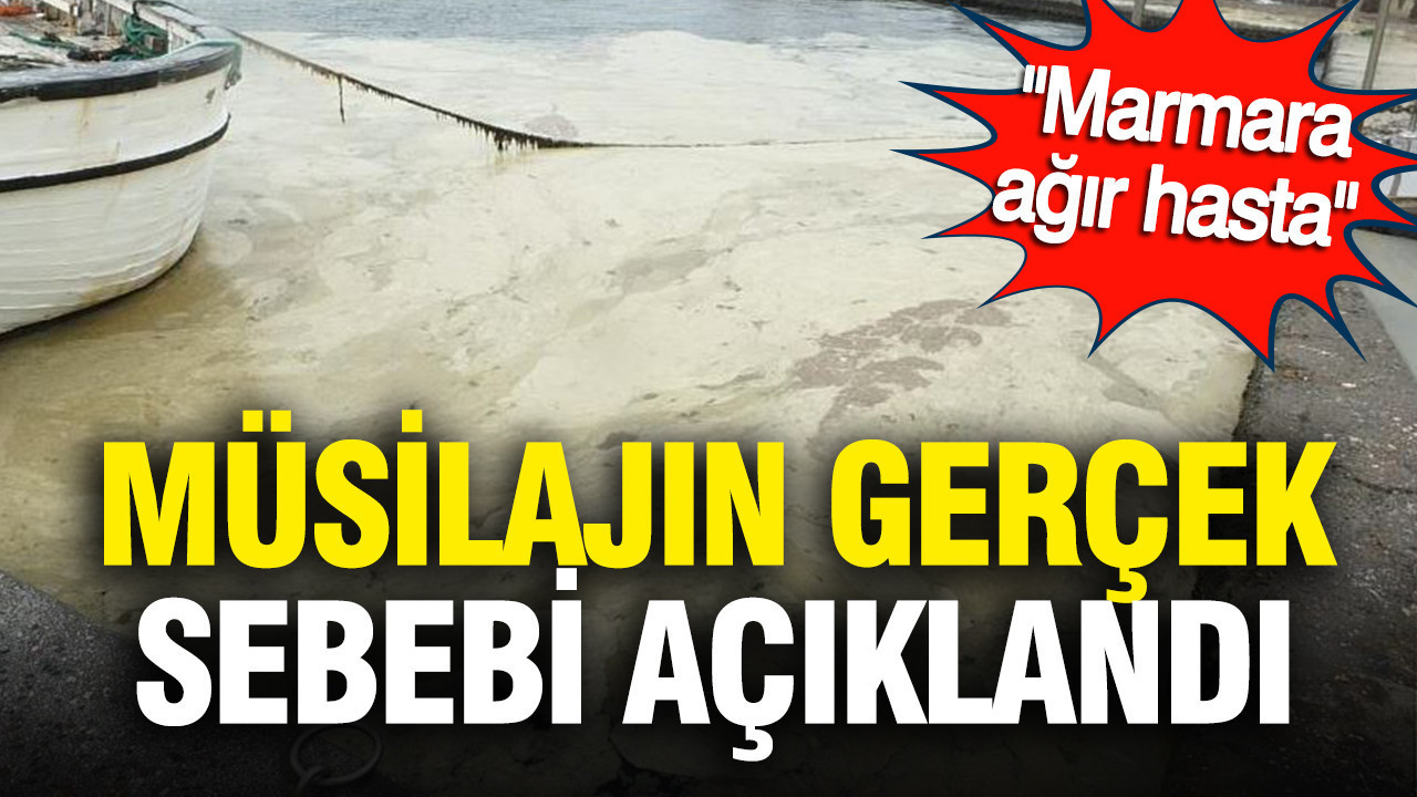 “Marmara Denizi: Ölüm Kıyısında Değil, Ama Kritik Bir Durumda”