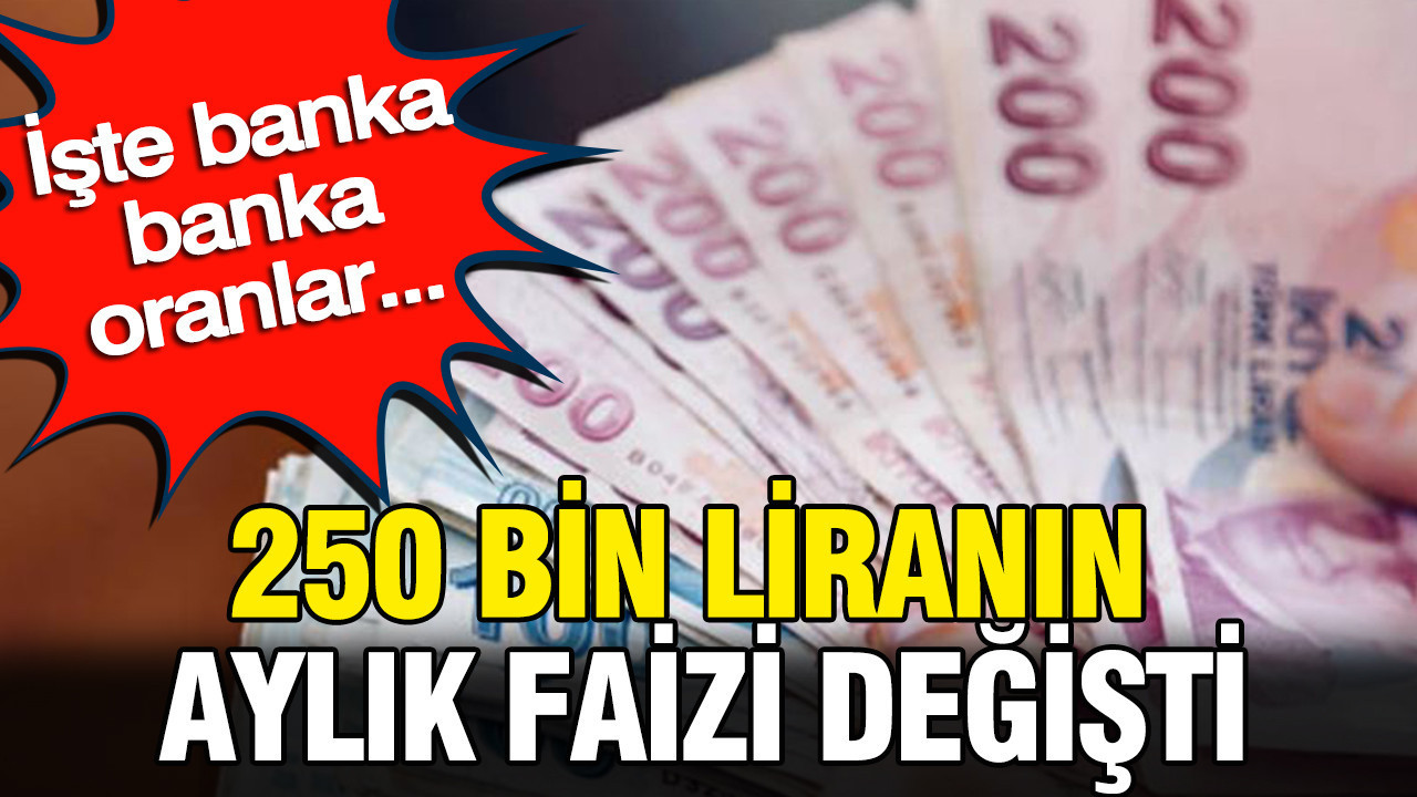 250 bin liranin aylik faizi uctu iste banka banka oranlar wlqBqxPg