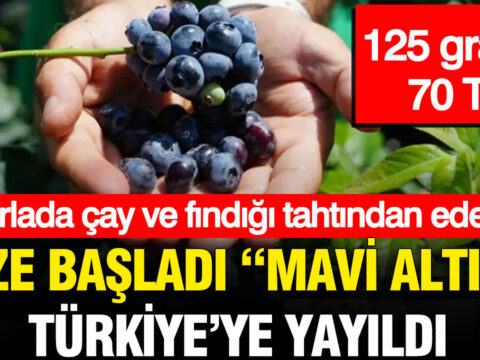 Gram gram servet 125 grami 70 tl olan mavi altin turkiyeyi sardi HZYTj2Hp